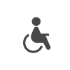 icone-disabili